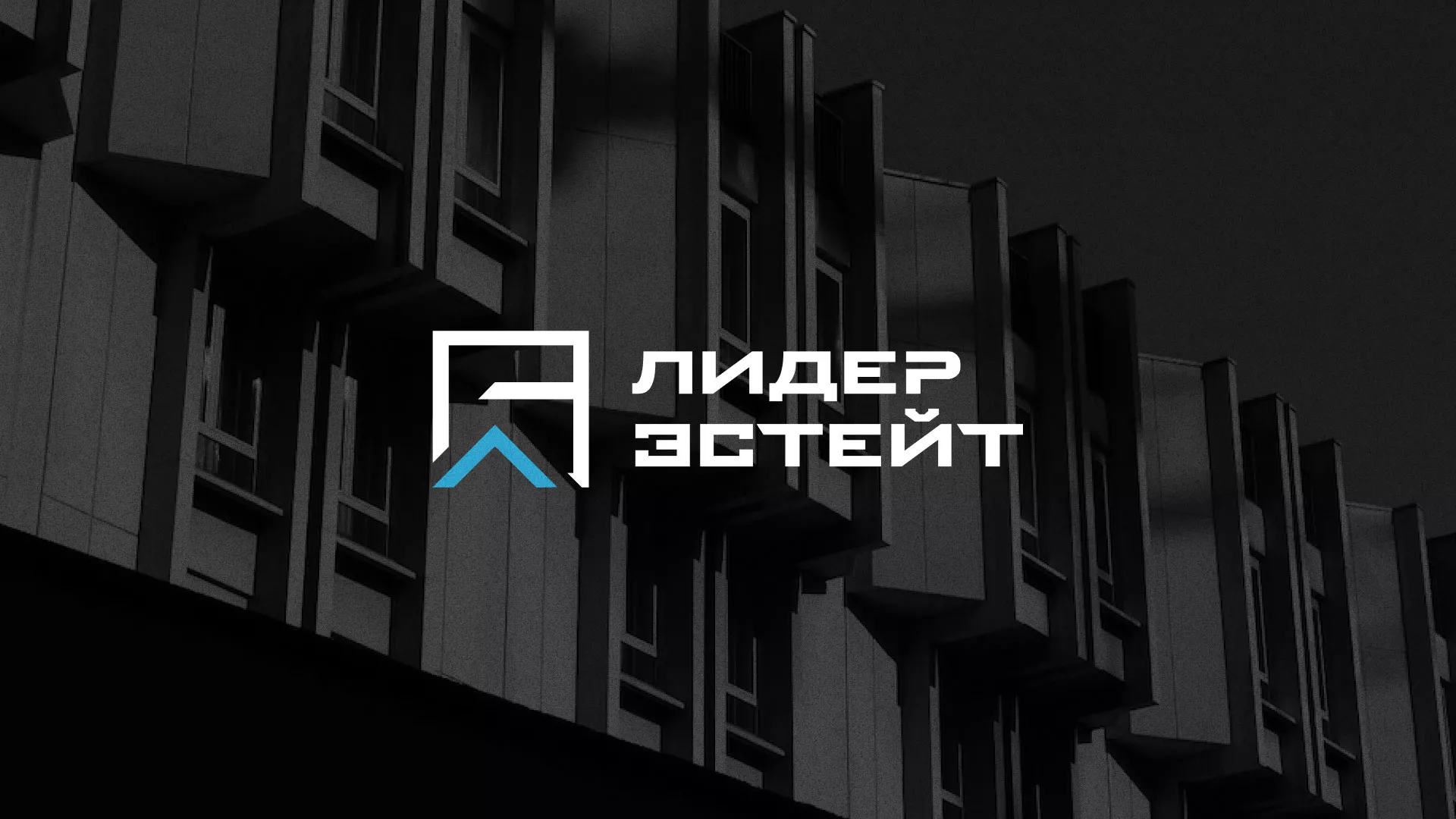 Разработка логотипа агентства недвижимости «Лидер Эстейт» в Няндоме